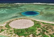Dome over contaminated nuclear blast site is leaking — expert warns risk from lethal landfill could be ‘devastating’