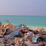 Scientists warn chemicals in plastic food packaging pose risks to human health