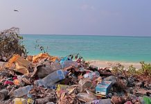 Scientists warn chemicals in plastic food packaging pose risks to human health