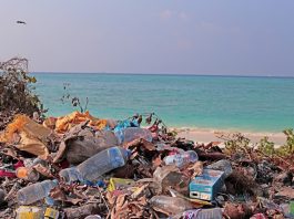 Scientists warn chemicals in plastic food packaging pose risks to human health