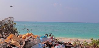 Scientists warn chemicals in plastic food packaging pose risks to human health