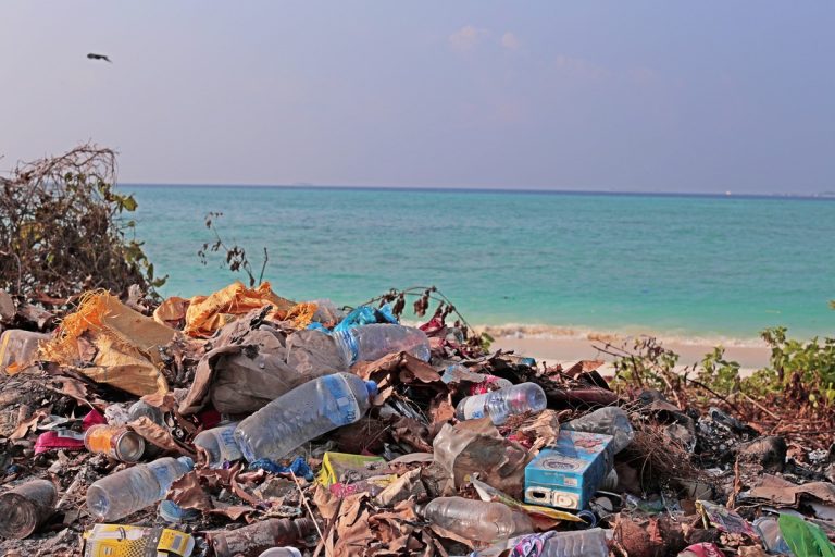 Scientists warn chemicals in plastic food packaging pose risks to human health