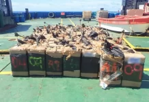 Pacific drug trafficking surge puts children at risk