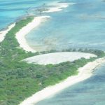 UN committee urges Marshall Islands and Samoa to address disability rights protections