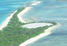 UN committee urges Marshall Islands and Samoa to address disability rights protections