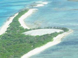 UN committee urges Marshall Islands and Samoa to address disability rights protections