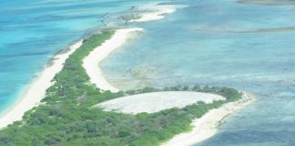 UN committee urges Marshall Islands and Samoa to address disability rights protections