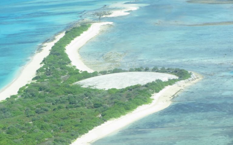 UN committee urges Marshall Islands and Samoa to address disability rights protections