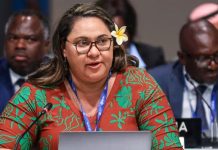 ‘World will be plunged into deepening insecurity’ without climate action: AOSIS warns