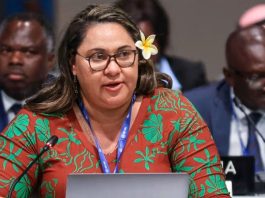 ‘World will be plunged into deepening insecurity’ without climate action: AOSIS warns