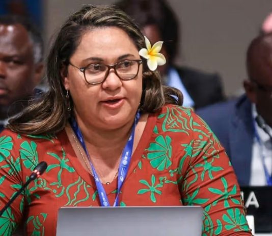 ‘World will be plunged into deepening insecurity’ without climate action: AOSIS warns