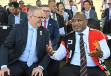 Australia panel backs defence pact with PNG, moves to formal alliance