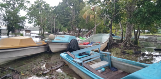 Solomon Islands activates National Disaster response as severe cyclone Maila batters Western Provinces