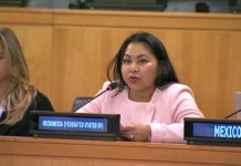 Micronesia pushes UN reform, says Security Council ‘no longer adequately represents today’s world