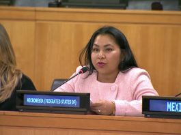 Micronesia pushes UN reform, says Security Council ‘no longer adequately represents today’s world