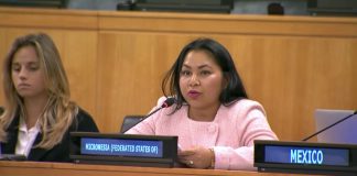 Micronesia pushes UN reform, says Security Council ‘no longer adequately represents today’s world