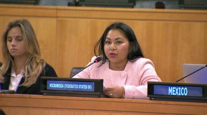 Micronesia pushes UN reform, says Security Council ‘no longer adequately represents today’s world