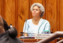 Fiji Assistant Foreign Minister breaks rank, Opposes Vuda waste to energy project