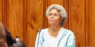 Fiji Assistant Foreign Minister breaks rank, Opposes Vuda waste to energy project