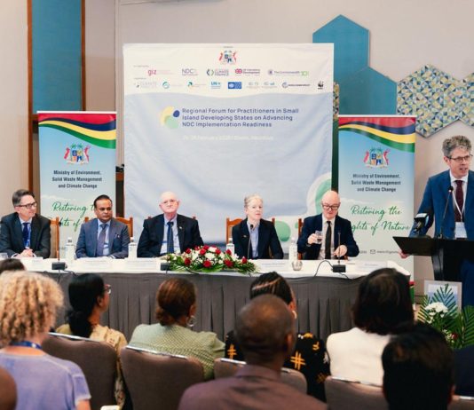 Commonwealth and global partners ramp up support for SIDS on the climate frontline