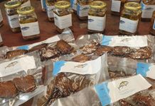 FFA and Iceland Ocean Cluster partner to unlock more value from Pacific fisheries