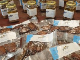 FFA and Iceland Ocean Cluster partner to unlock more value from Pacific fisheries