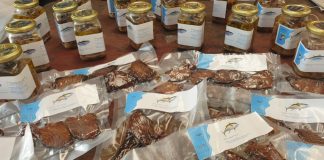 FFA and Iceland Ocean Cluster partner to unlock more value from Pacific fisheries