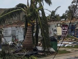 Major disaster declaration granted for CNMI as Sinlaku recovery begins
