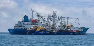 How climate change threatens the economic backbone of the Pacific