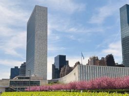 UN Secretary-General hopefuls make their case in televised ‘interactive dialogues’