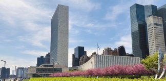 UN Secretary-General hopefuls make their case in televised ‘interactive dialogues’