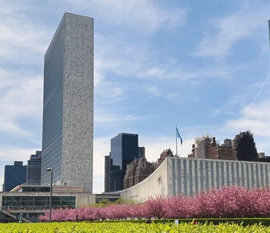 UN Secretary-General hopefuls make their case in televised ‘interactive dialogues’