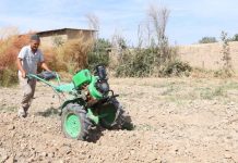 Extreme heat pushing global food systems to the brink, UN agencies warn