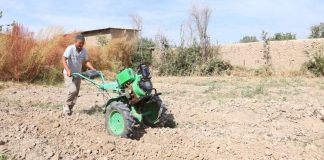 Extreme heat pushing global food systems to the brink, UN agencies warn