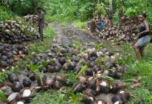 South Pacific islanders strive to rescue their home from toxic legacy