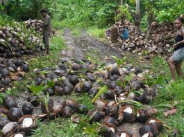 South Pacific islanders strive to rescue their home from toxic legacy