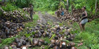 South Pacific islanders strive to rescue their home from toxic legacy