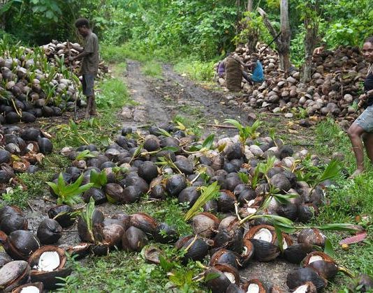 South Pacific islanders strive to rescue their home from toxic legacy