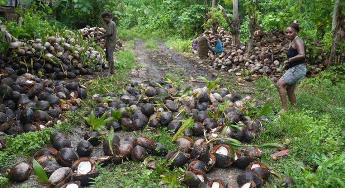 South Pacific islanders strive to rescue their home from toxic legacy