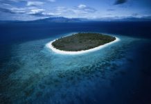 High oil prices are devastating Island states – and moving the needle on Climate