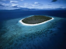 High oil prices are devastating Island states – and moving the needle on Climate