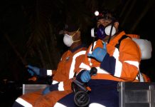 Cook Islands declares end to dengue outbreak after more than a year