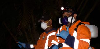 Cook Islands declares end to dengue outbreak after more than a year