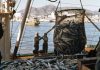 Pacific questions U.S commitment as tuna treaty pressure grows