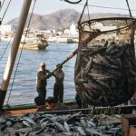 Pacific questions U.S commitment as tuna treaty pressure grows