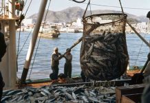 Pacific questions U.S commitment as tuna treaty pressure grows