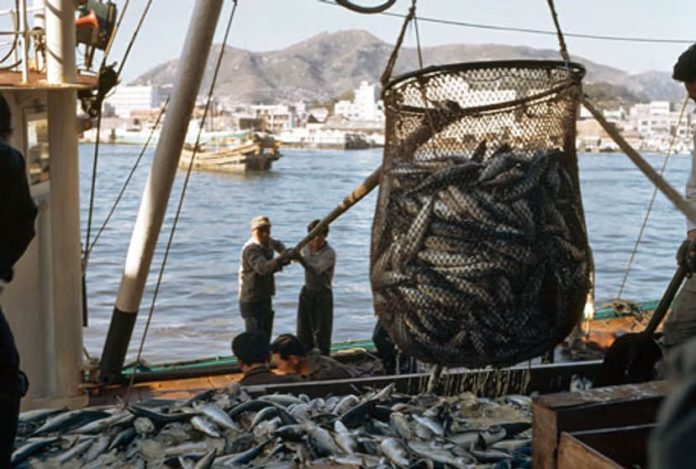 Pacific questions U.S commitment as tuna treaty pressure grows