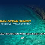 PNG champions Melanesian unity on Ocean Protection