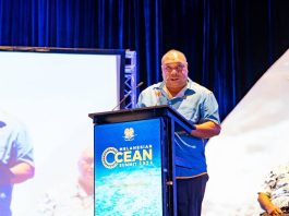 “Melanesia must lead”: Jelta Wong calls for stronger ocean protection