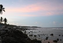 Pacific island nation charts path to diesel freedom